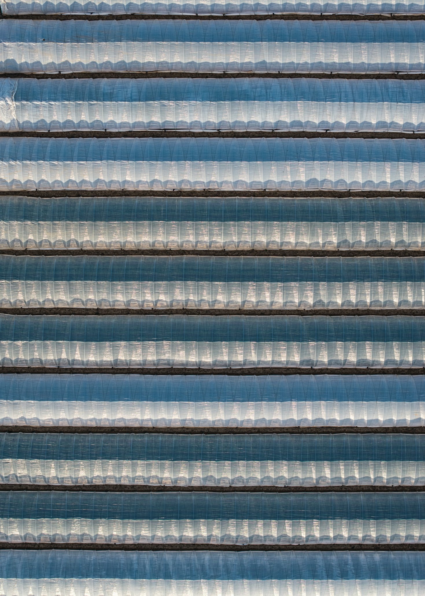 Mantar Üretiminde Kaliteyi Artırmanın Yolları